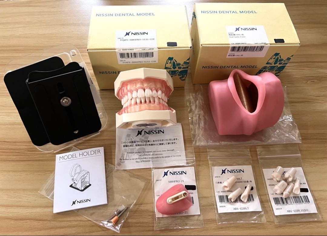 歯科実習 顎模型 頬粘膜 粘膜型 模型歯 モデルホルダー NISSIN