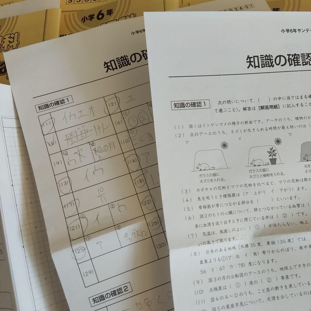 6年理科 2025年度版 SAPIX 知識理論講座 - メルカリ