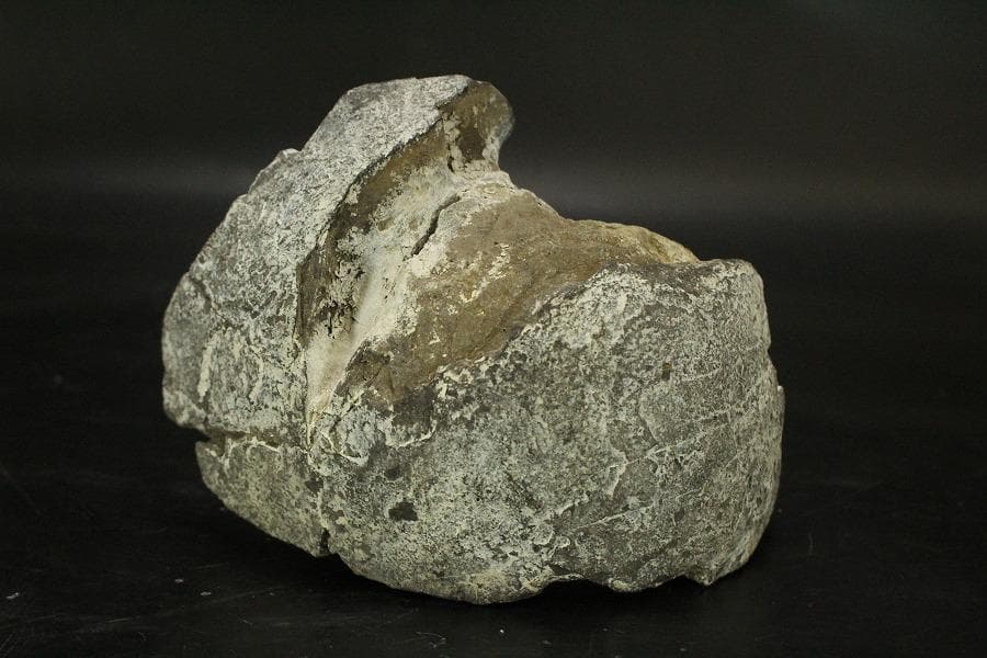 馬蹄石 夕凪観音 石仙 姿石 盆石(A598) - メルカリ