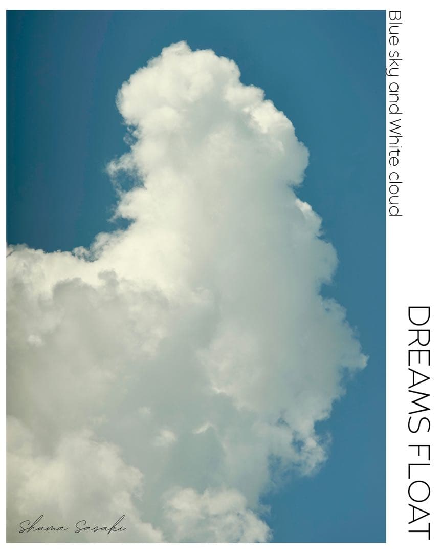 DREAMS FLOAT 青空と白い雲