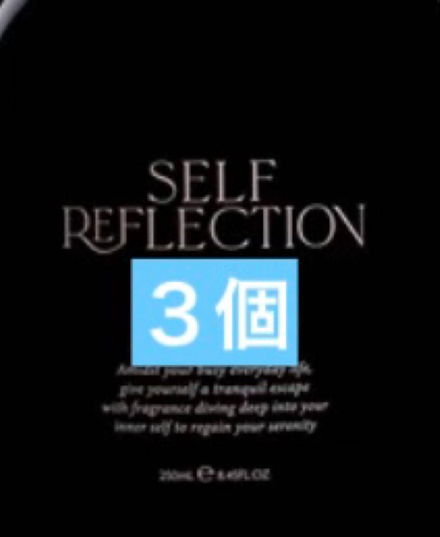SELF REFLECTION ザハンドウォシュ ノクターナル アース
