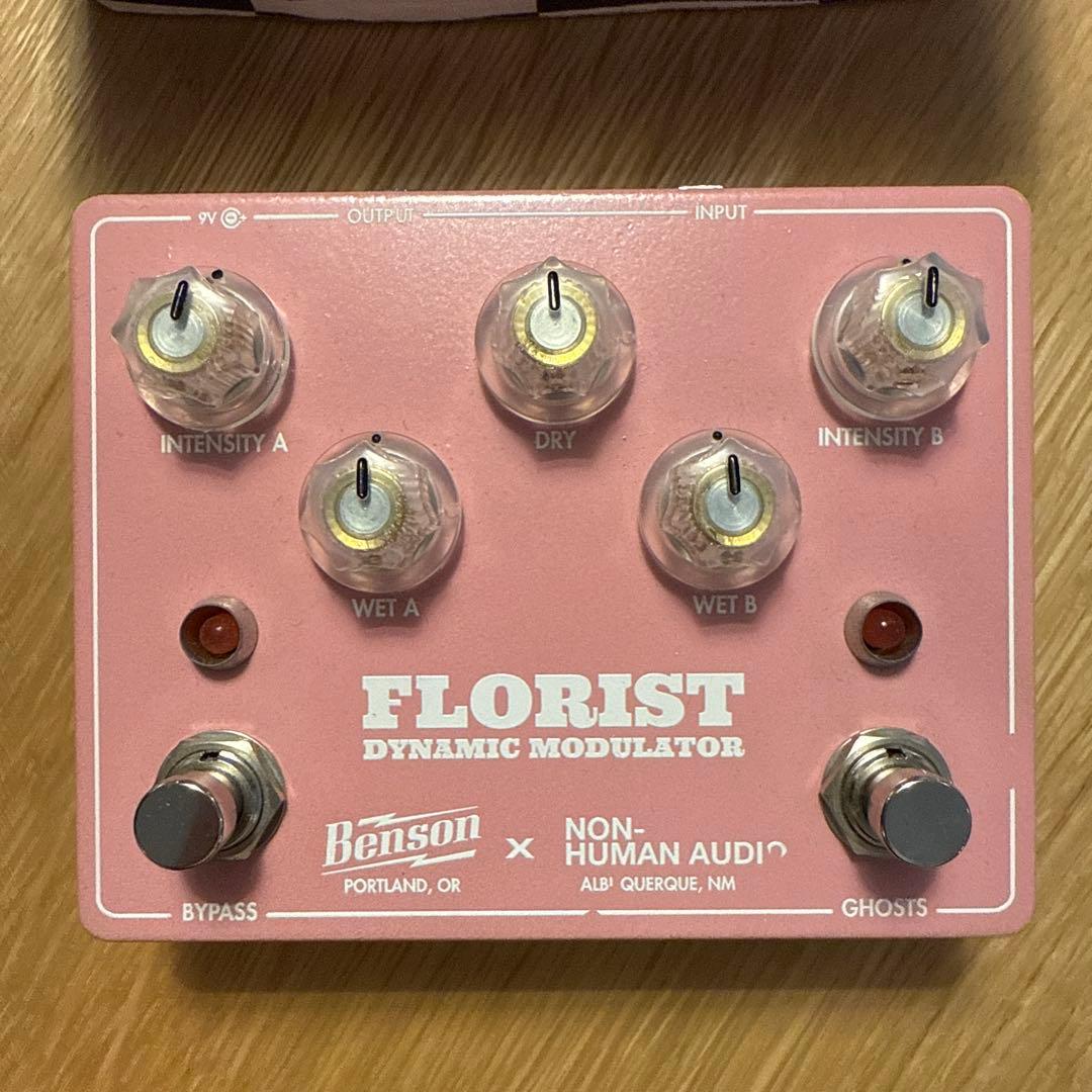 ギター Benson FLORIST