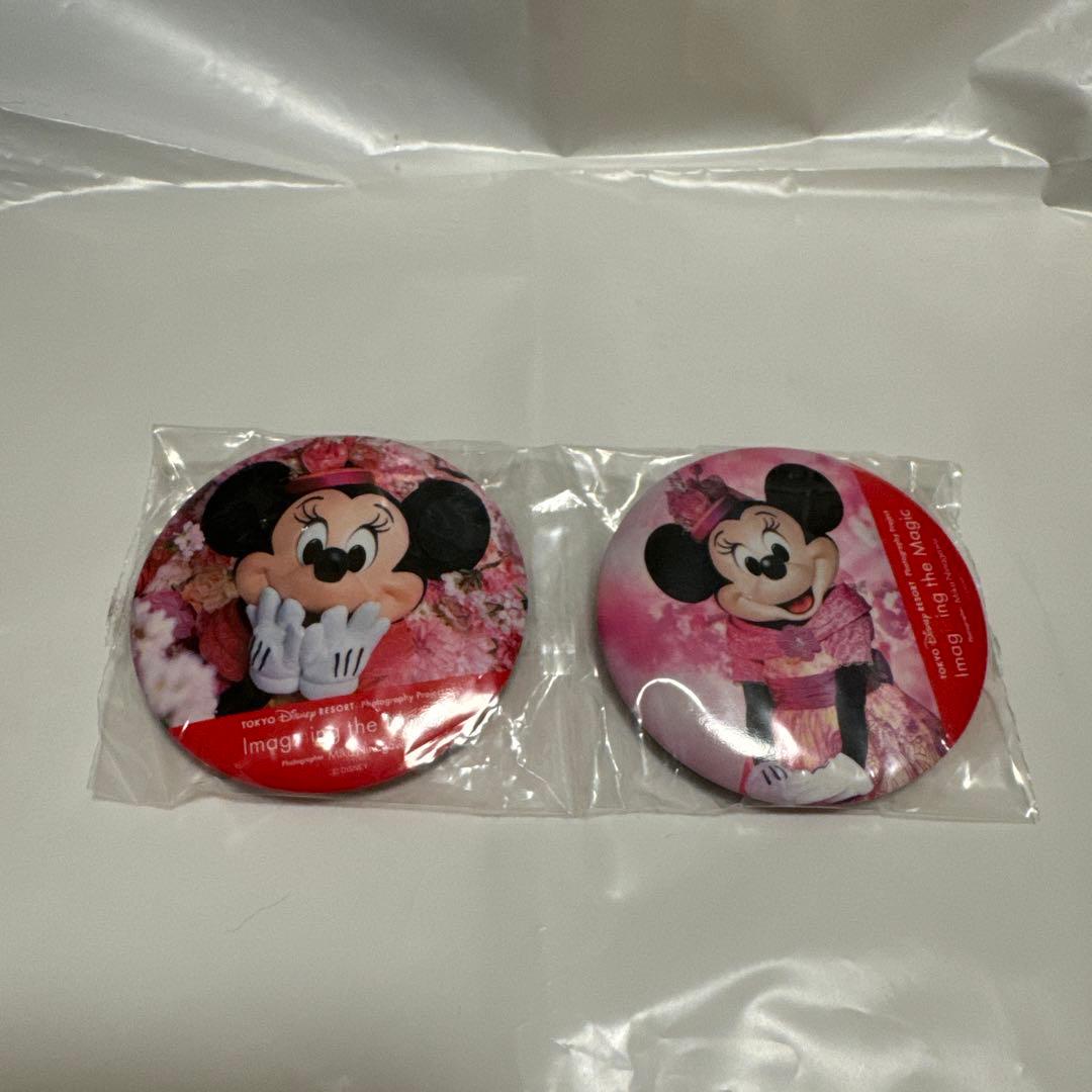 ミニスタ 缶バッジ イマジニングザマジック 秋ミニー ディズニー