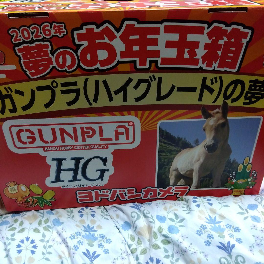 ガンプラ (ハイグレード)の夢 お年玉箱 2026年 🎁 2026年 ガンプラ(ハイグレード)の夢🎁 📍ガンプラ【13,640円相当