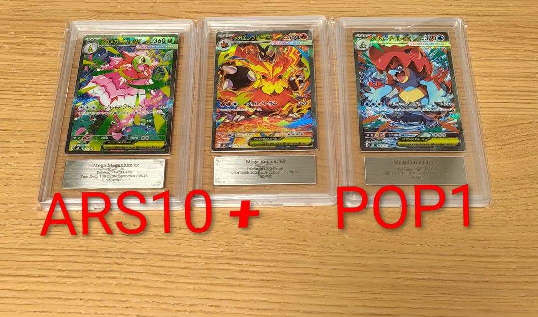 メガメガニウム　メガエンブオー　メガオーダイル　ARS10＋