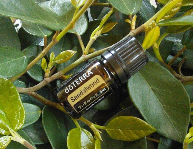 【❗️試香のみ 未開封 最安】ドテラ サンダルウッド 日本表 5ml 期27.6
