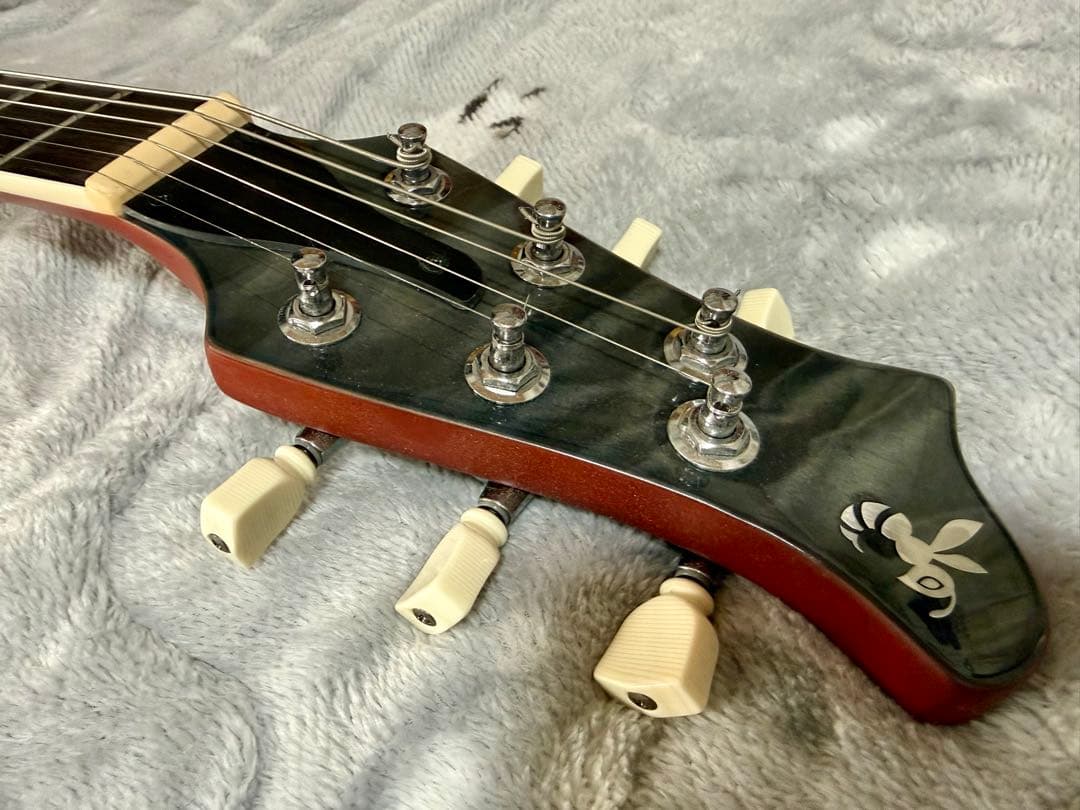 値下げ】Ryoga Hornet LEC-TQM 中古改良品