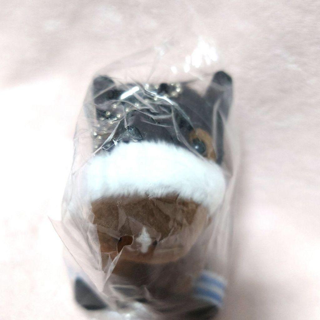 非売品 アーモンドアイ アイドルホース 美浦TC 調教見学 トレセン