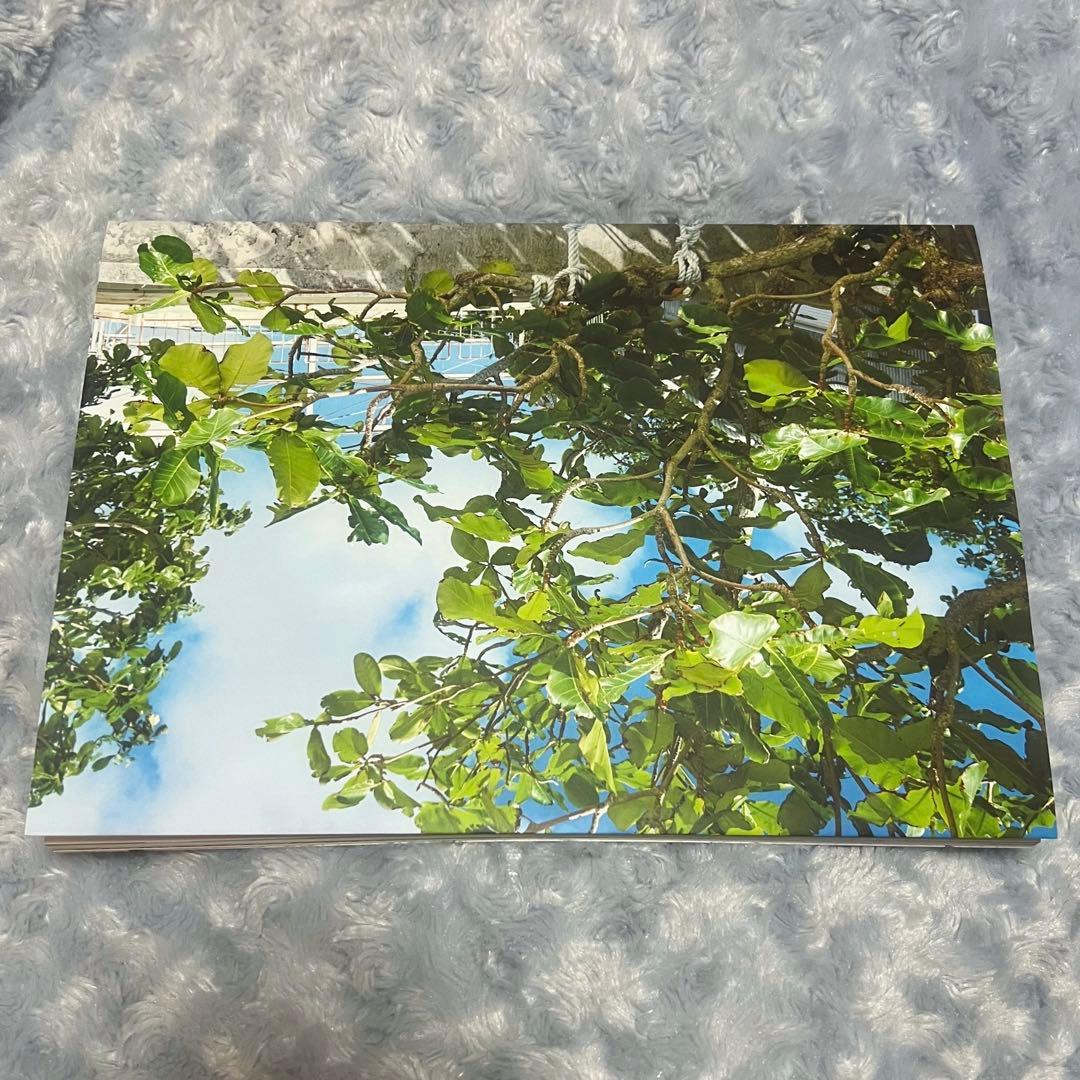 CR ふらんしすこ 写真集 「戸惑い」Crazy Raccoon - メルカリ