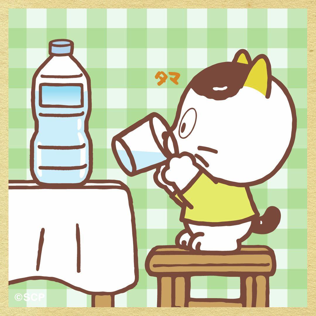 うちのタマしりませんか　正方形4