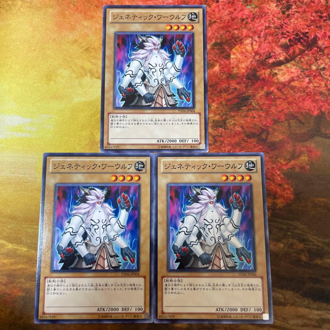 遊戯王 3枚セット YSD6 ジェネティック・ワーウルフ - メルカリ