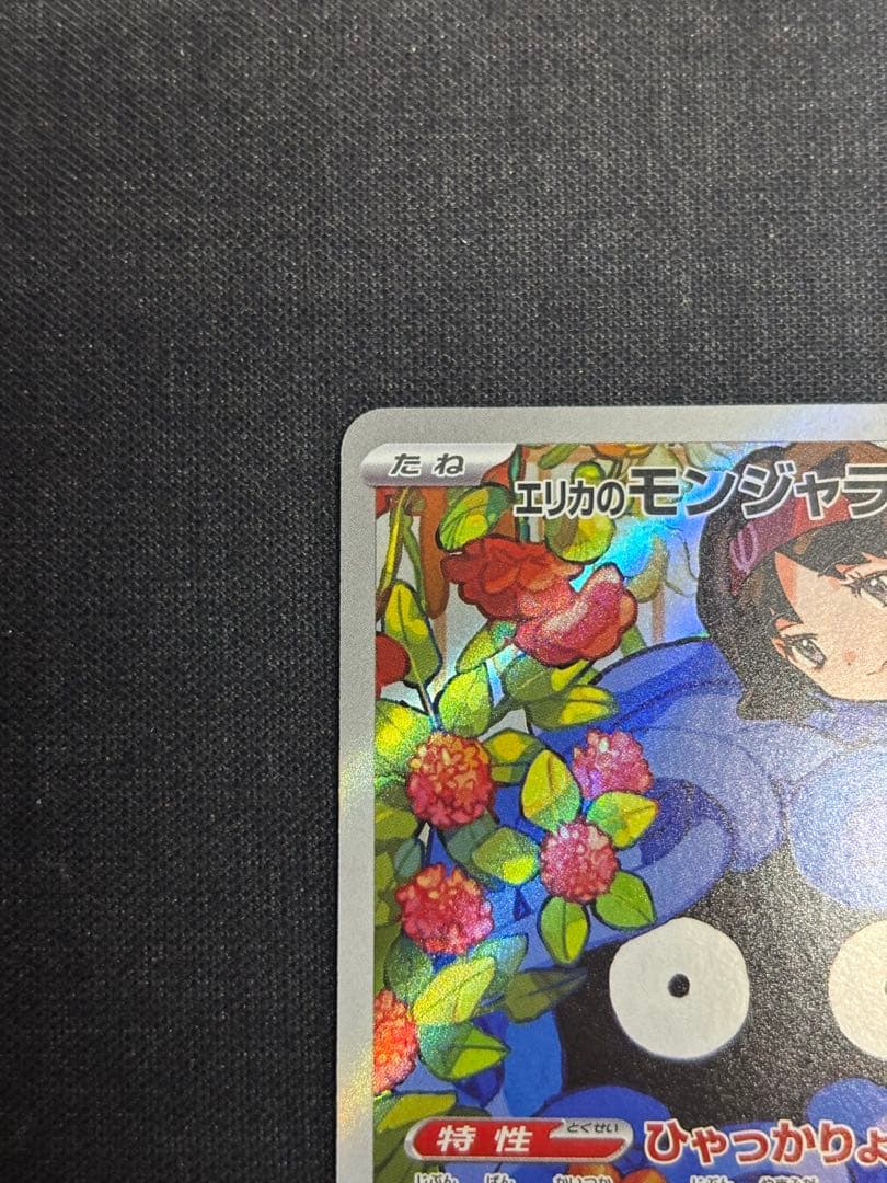 エリカのモンジャラ AR MC 743/742 スタートデッキ100 - メルカリ