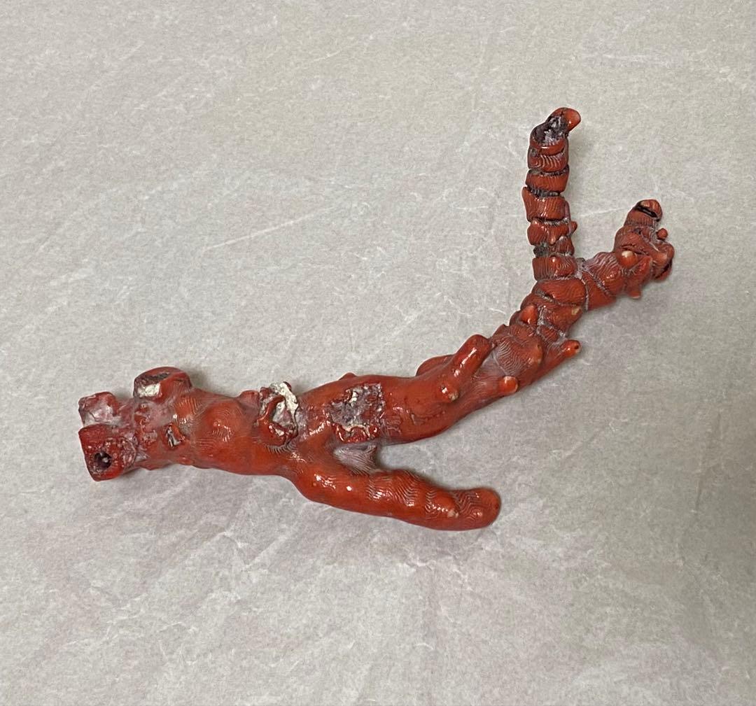 赤珊瑚　原木　天然　約410g