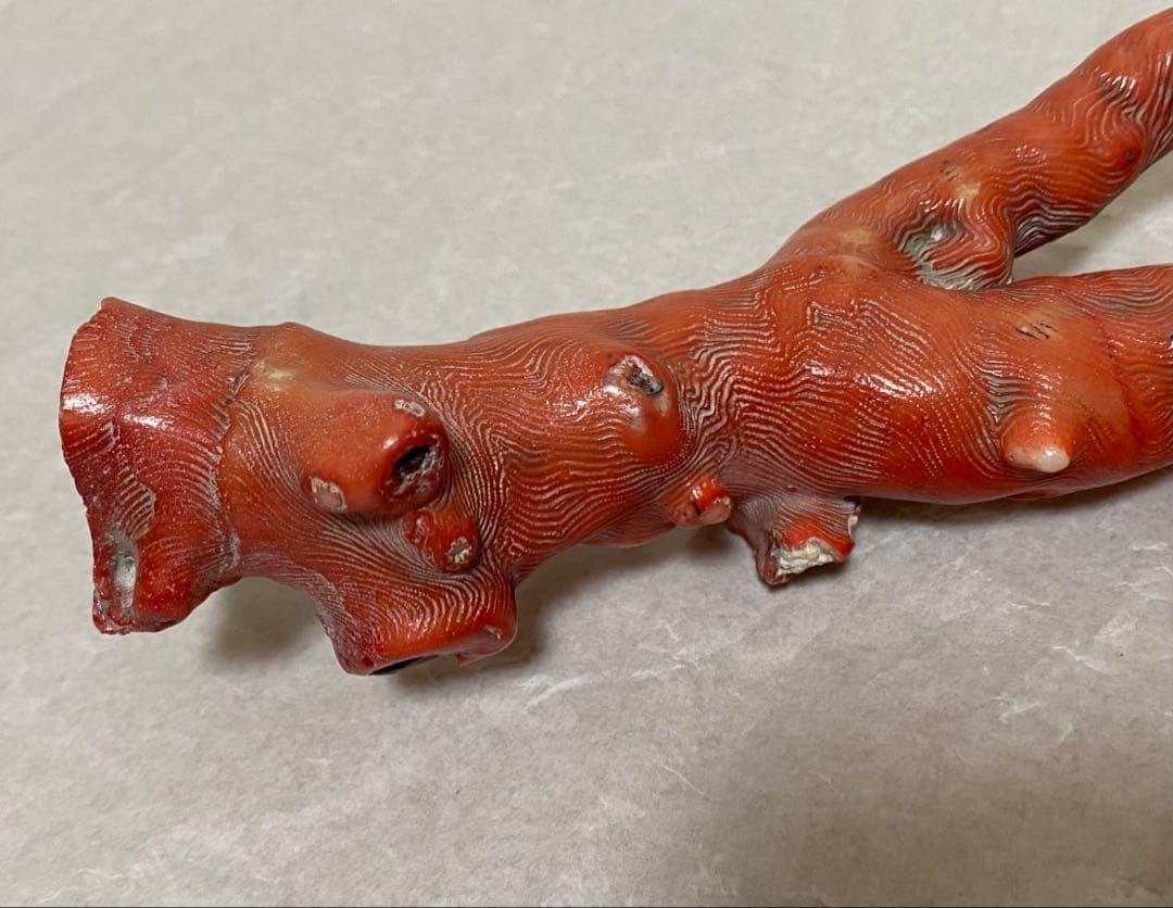 赤珊瑚 原木 天然 約410g