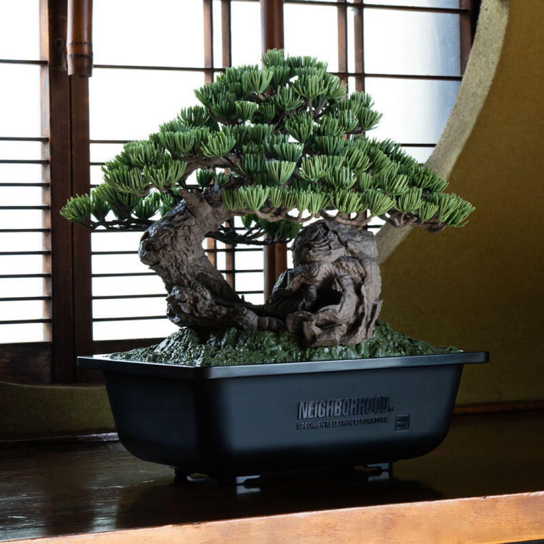 SRL X BANDAI SPIRITS BONSAI MODEL KITセット