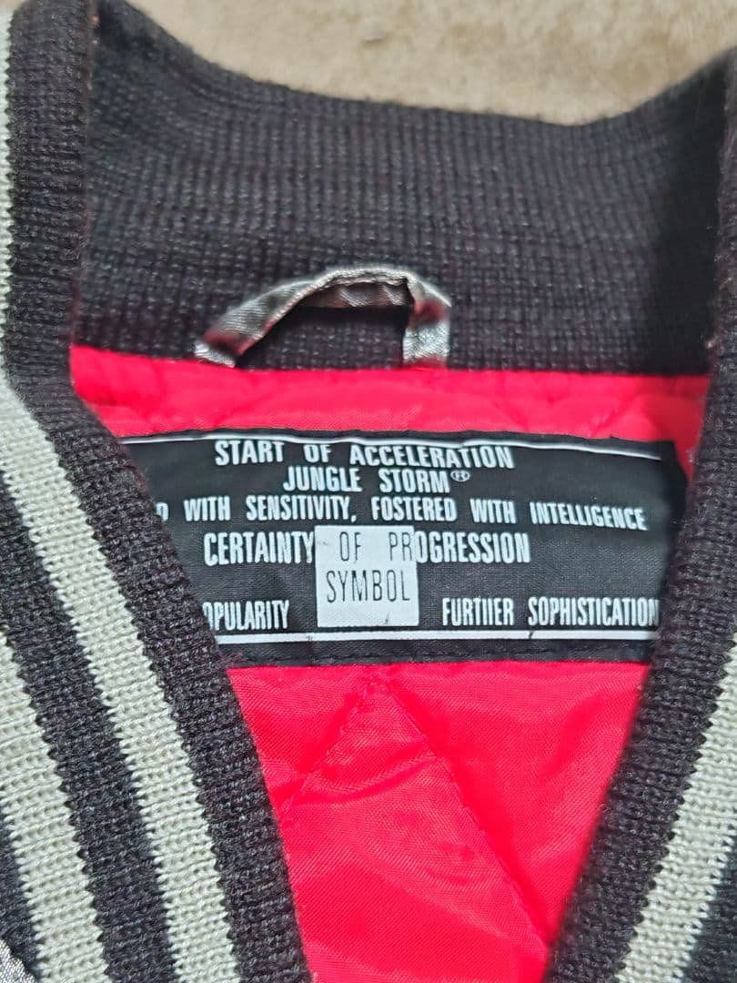 未使用近い Jungle Storm 美品 龍鷲 横須賀 日本限定 スカジャン