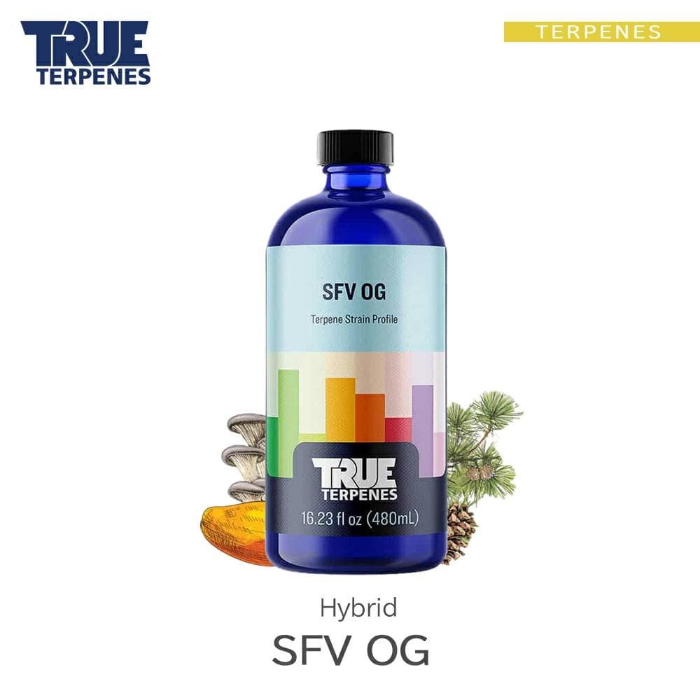TRUE テルペン 510 CBD CBN CBG 10ml SFV OG