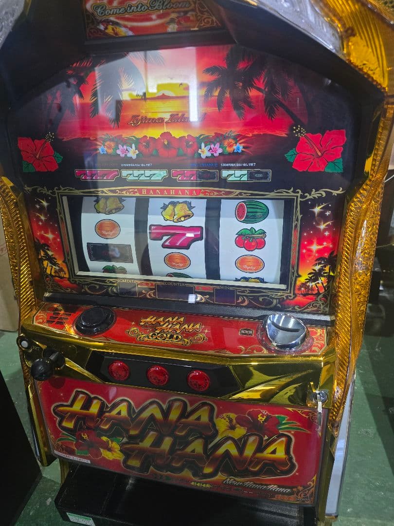 パイオニア　ニューハナハナゴールドEX-30　未加工品！実機