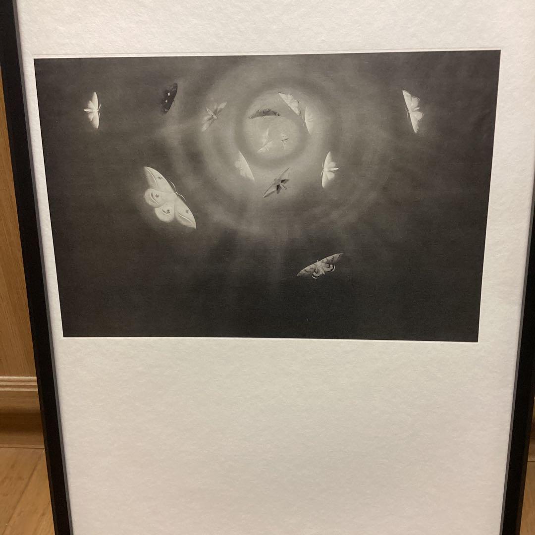 天才画家速水御舟 作品集大作編便利堂監修 画集NO 18 【昆虫二題粧蛾舞