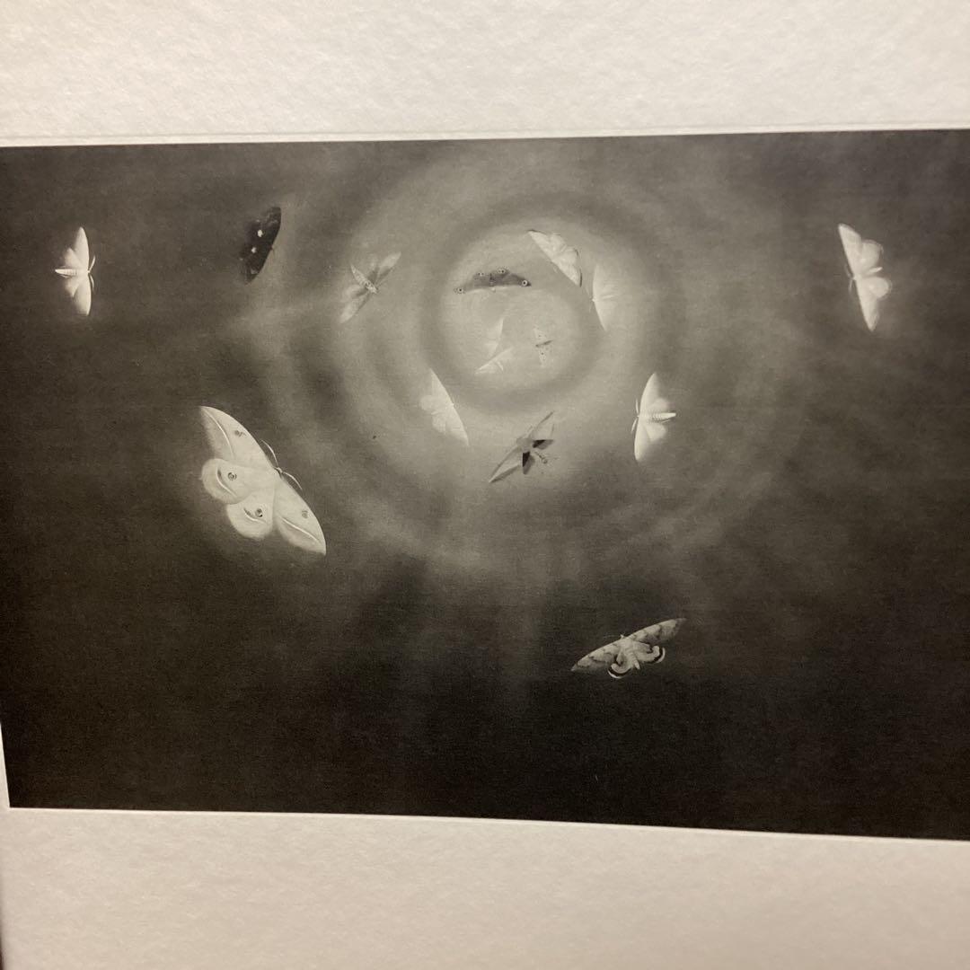 天才画家速水御舟 作品集大作編便利堂監修 画集NO 18 【昆虫二題粧蛾舞