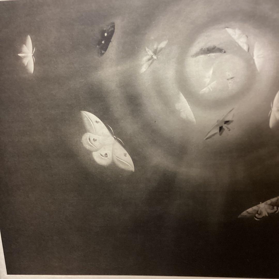 天才画家速水御舟 作品集大作編便利堂監修 画集NO 18 【昆虫二題粧蛾舞