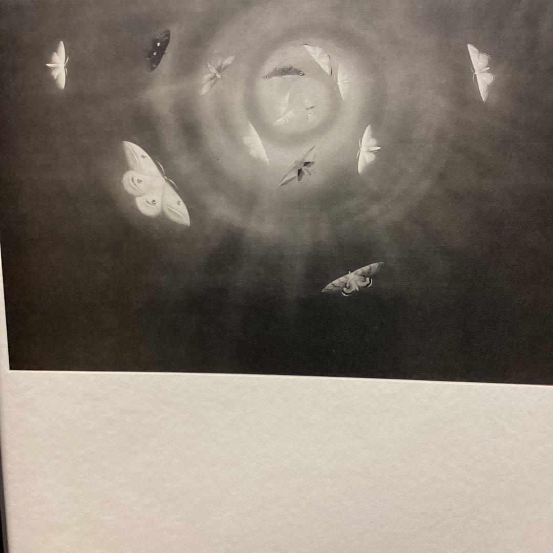 天才画家速水御舟 作品集大作編便利堂監修 画集NO 18 【昆虫二題粧蛾舞