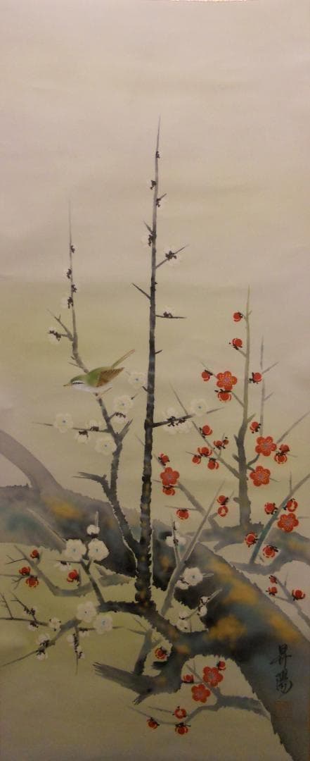 掛け軸 昇陽 作 『 梅鶯之図 』 絹本 共箱 希少 軸装 茶道具 掛軸 美品