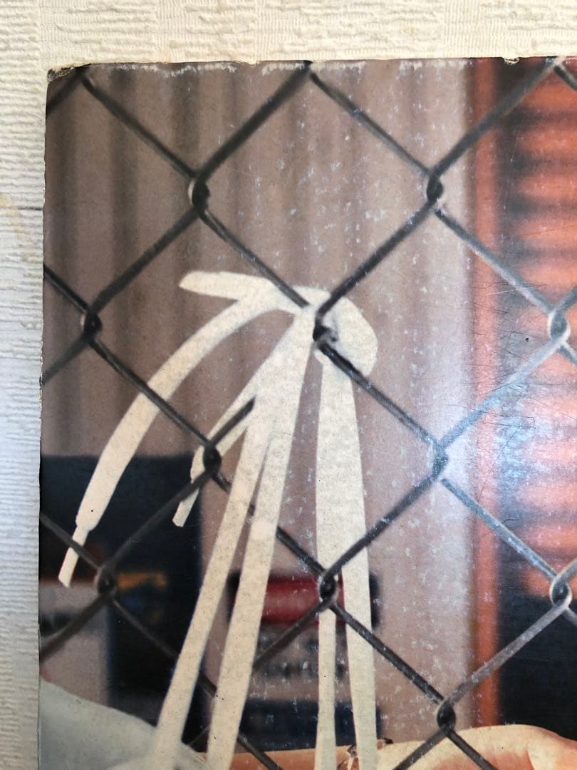 BoA 非売品 レア パネル スケッチャーズ skechers ②ボアちゃん近し