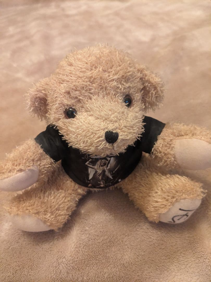 テイラースウィフト taylor swift teddy bear - メルカリ