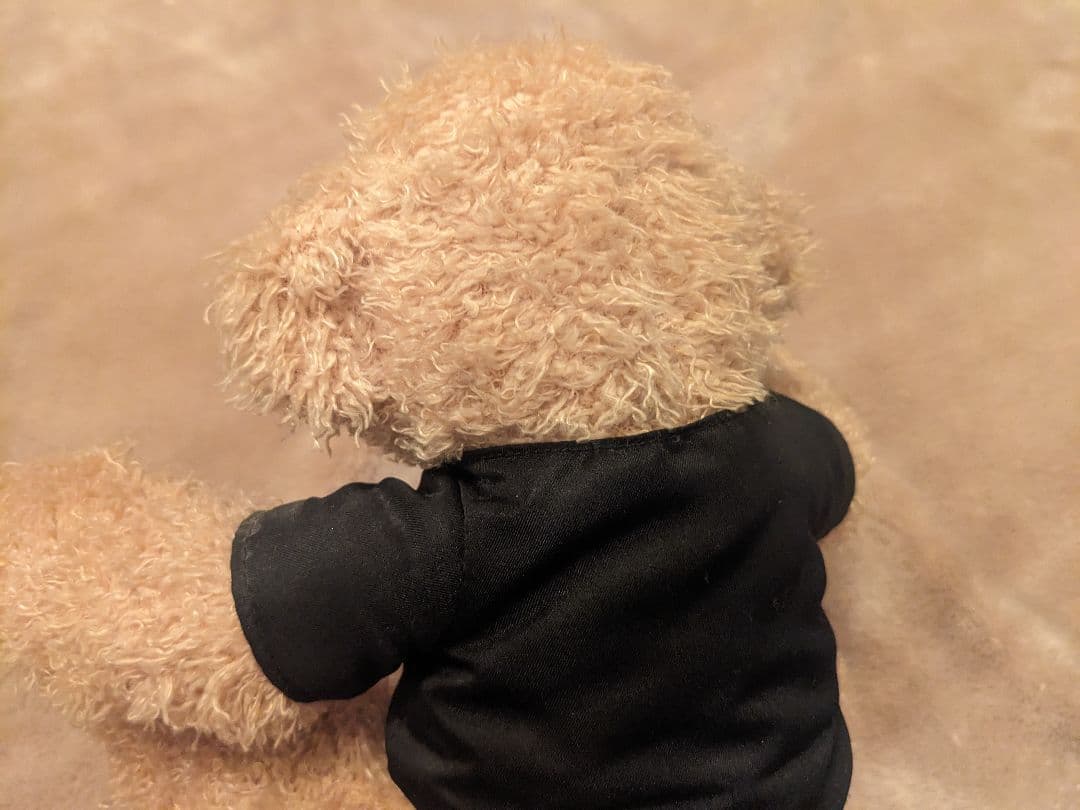 テイラースウィフト taylor swift teddy bear - メルカリ