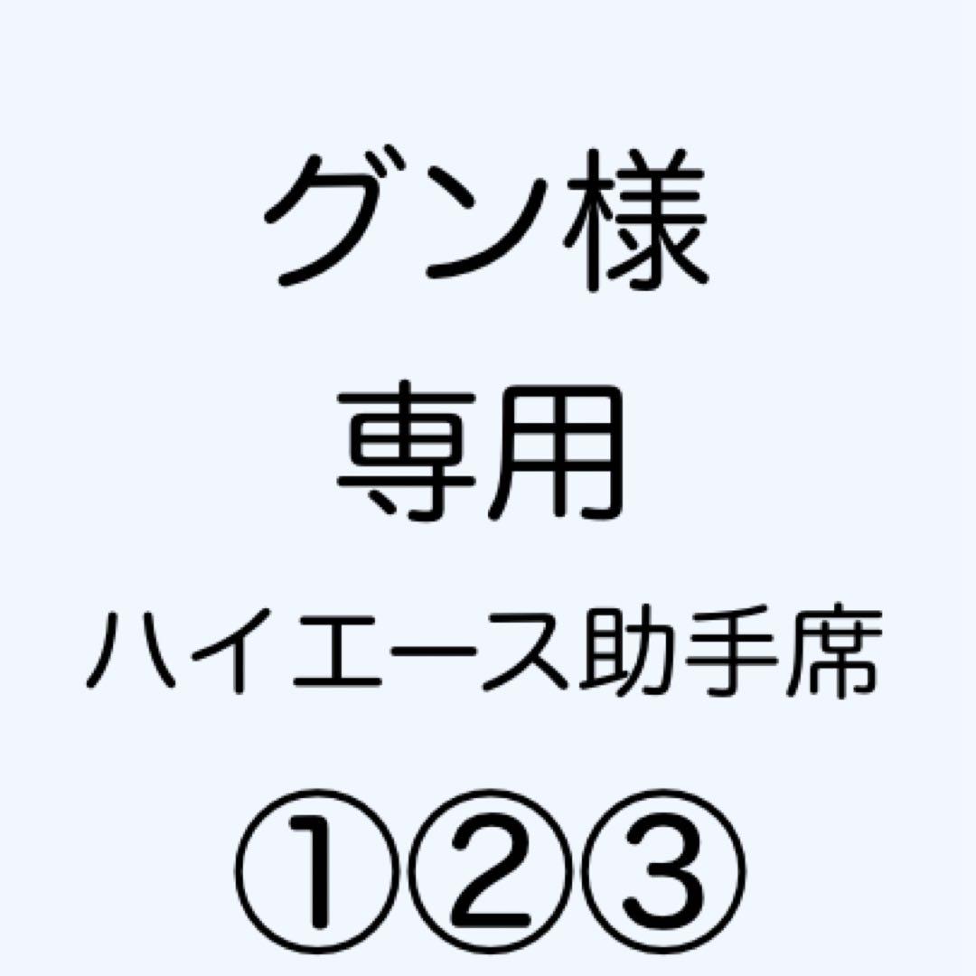 [専用出品]グン