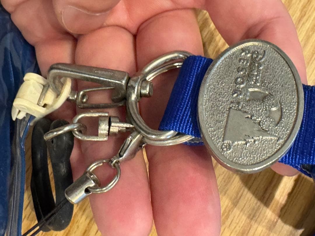 激レア】ディズニーリゾート イクスピアリ開業 報道関係者専用 ネック