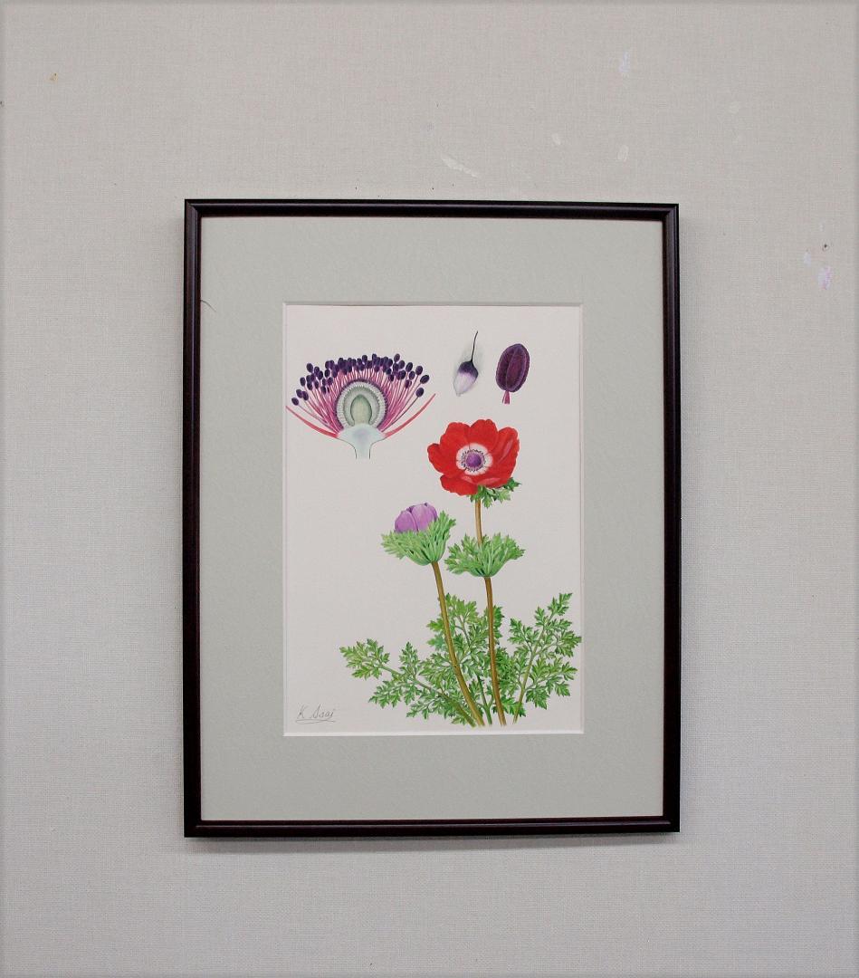 絵画】ボタニカルアート 「アネモネ」原画 - メルカリ