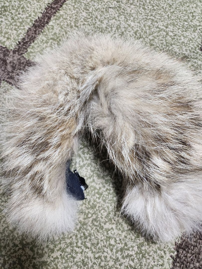 限定値下げカナダグース Arctic Program ネイビーコートS