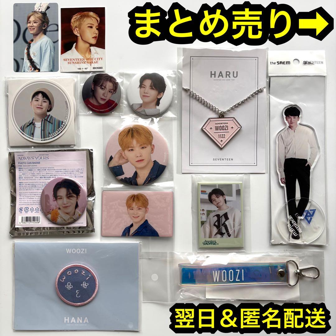 seventeen 缶バッジ　ミンハオ　ジュン　ウォヌ　ウジ　ホシ　anan