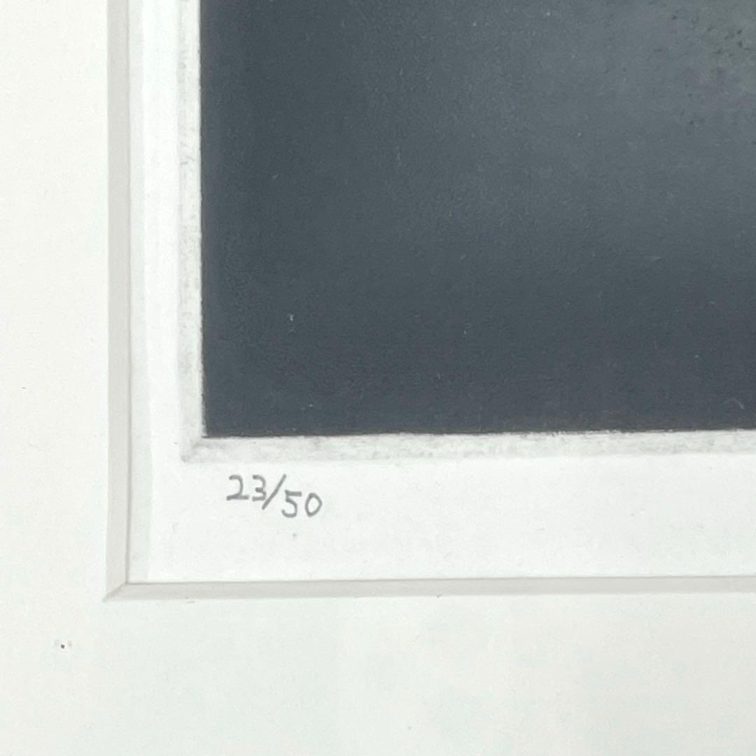 S1-M0187丹阿弥丹波子 リトグラフ 絵画 花'81 サイン付き 23／50