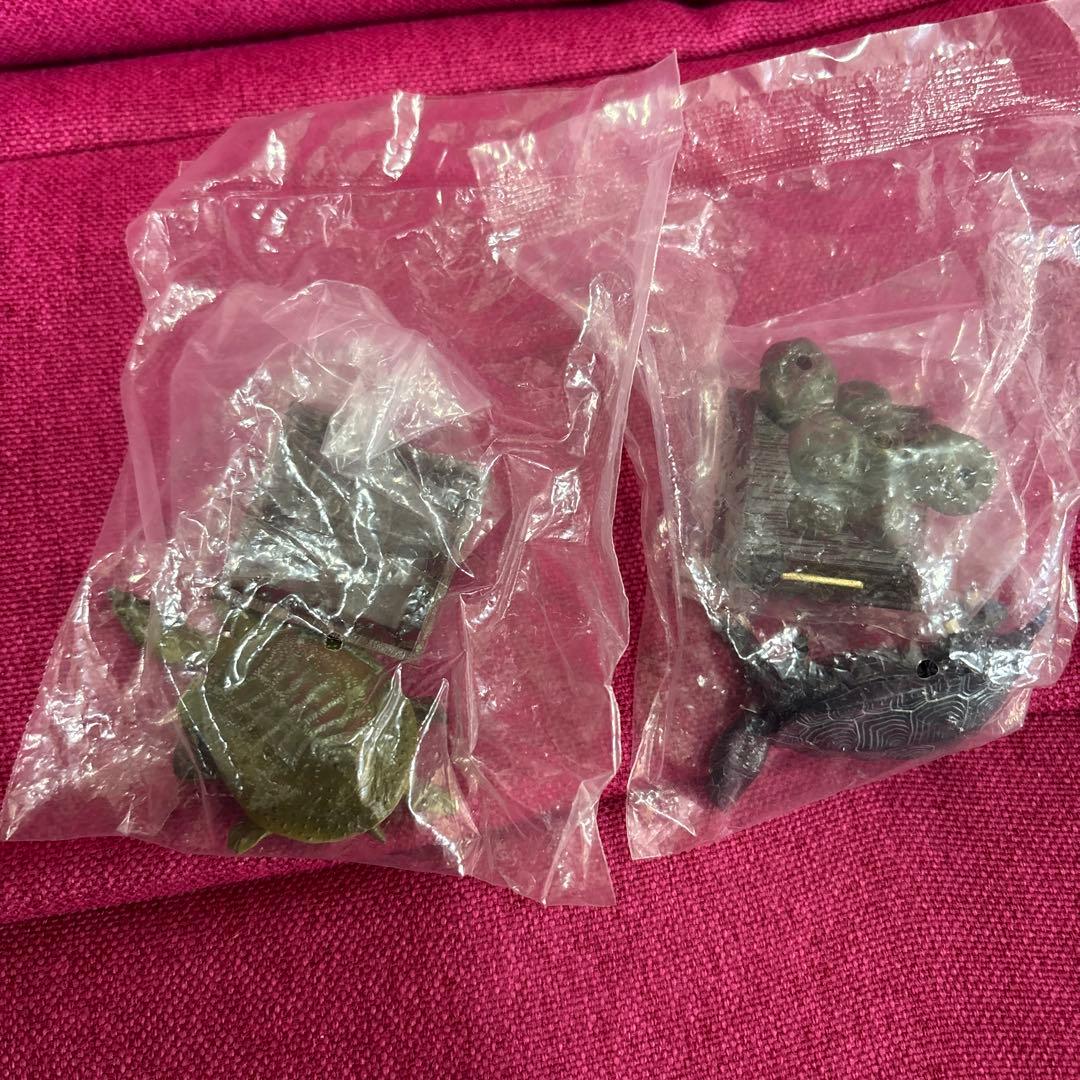 ネイチャーテクニカラー　日本のカメ　初版　スッポン　クサガメ　未開封！