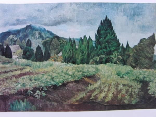 DULLAH（ドラウ）、野菜畑、希少画集画、新品額装付、状態良好