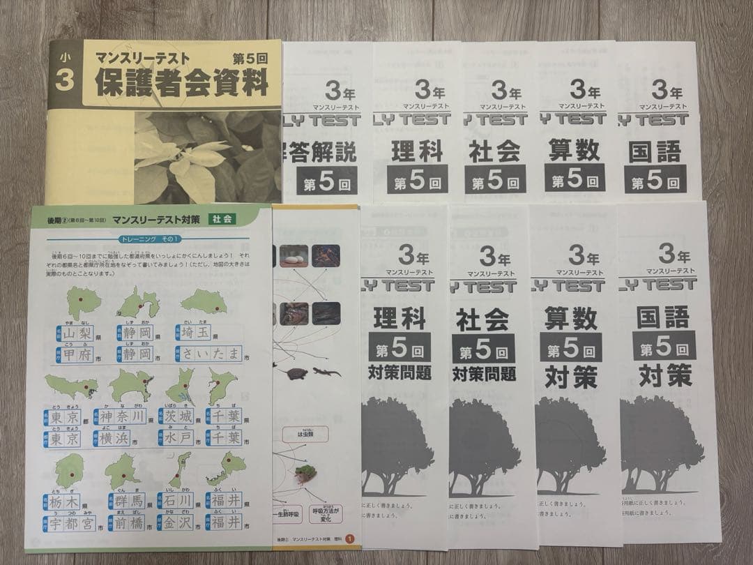 小３　早稲田アカデミー　ワセアカ　マンスリーテスト　1年分セット　原本