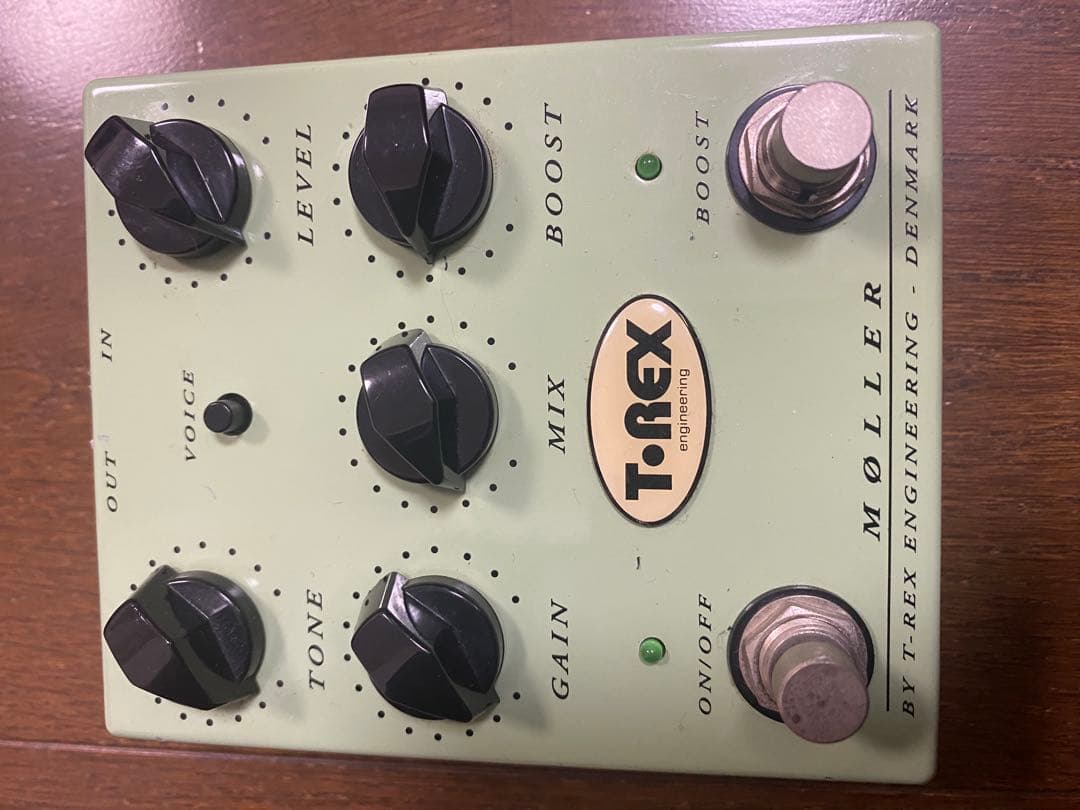 希少！T-Rex moller ゲイリームーア、藤岡幹大