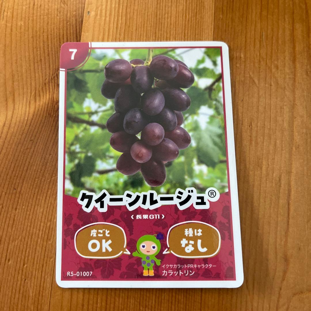 長野県 生坂村 ぶどうカード 4種類 - メルカリ