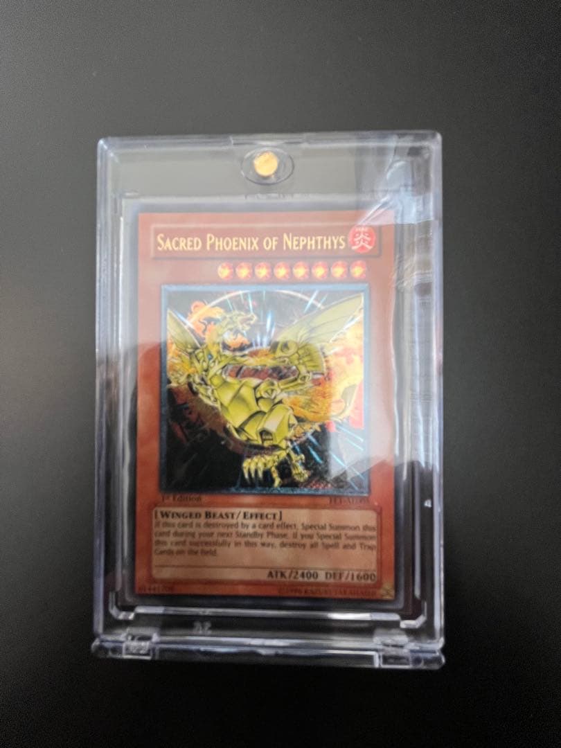 遊戯王 ネフティスの鳳凰神 旧アジアレリーフ&ネフティスの導き手 旧