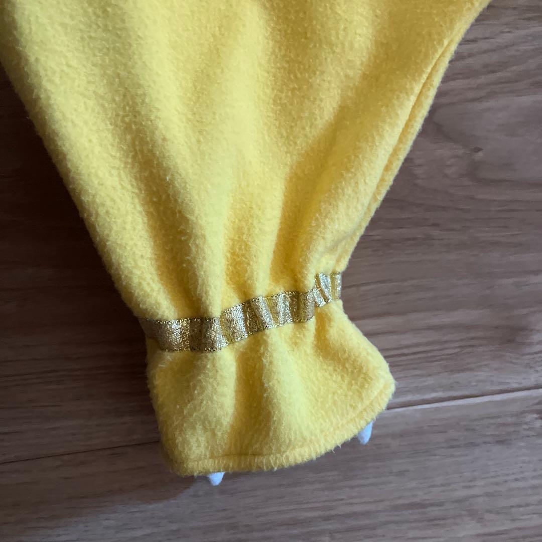 パニパニパイナ 衣装