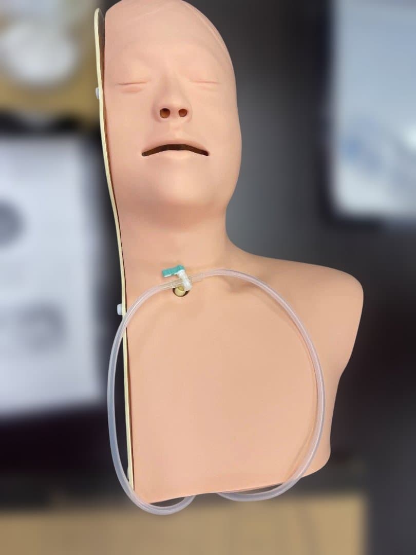 吸引シャミレーター