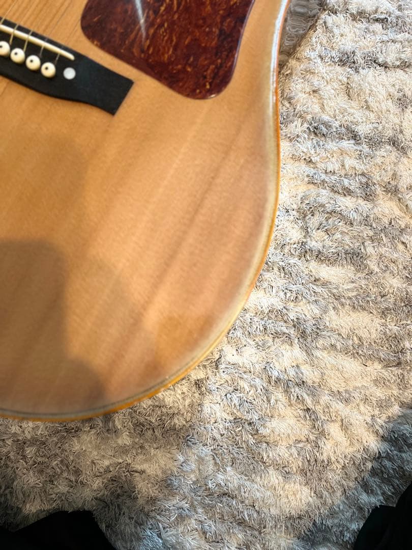 松岡良治 GR-50 エレアコ仕様