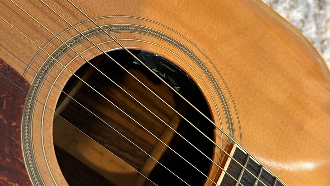 松岡良治 GR-50 エレアコ仕様