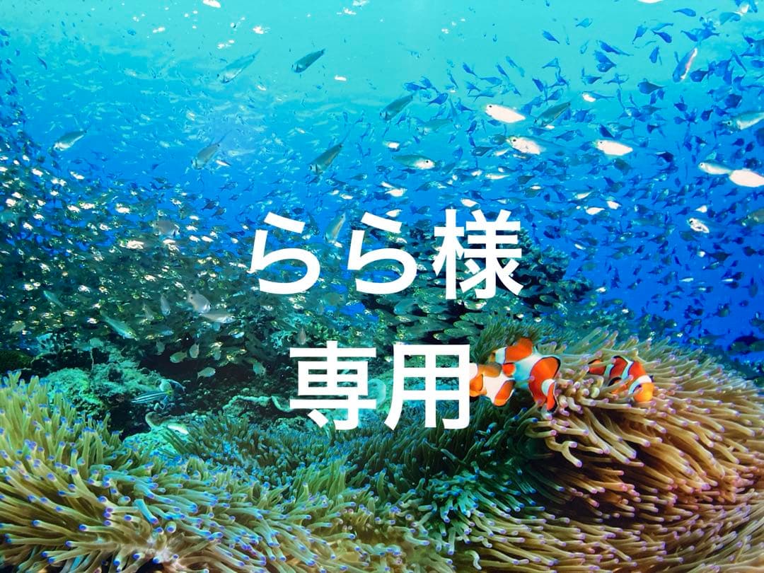 エンビロンモイスチャークリーム４、ジェル２、ACEオイル、