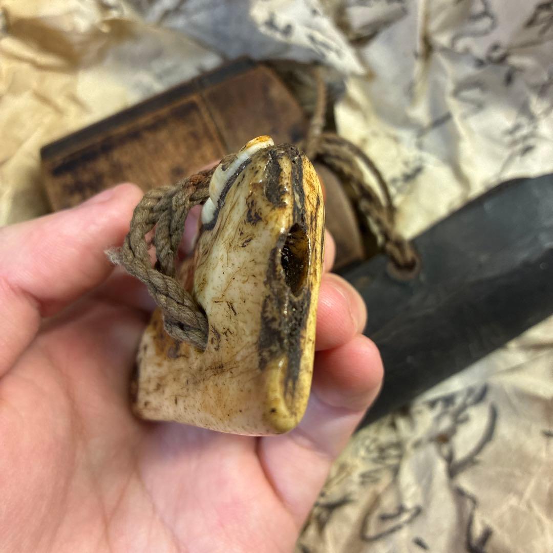 獣牙 根付 呪物 ニホンオオカミ 熊 煙管 煙草 - メルカリ