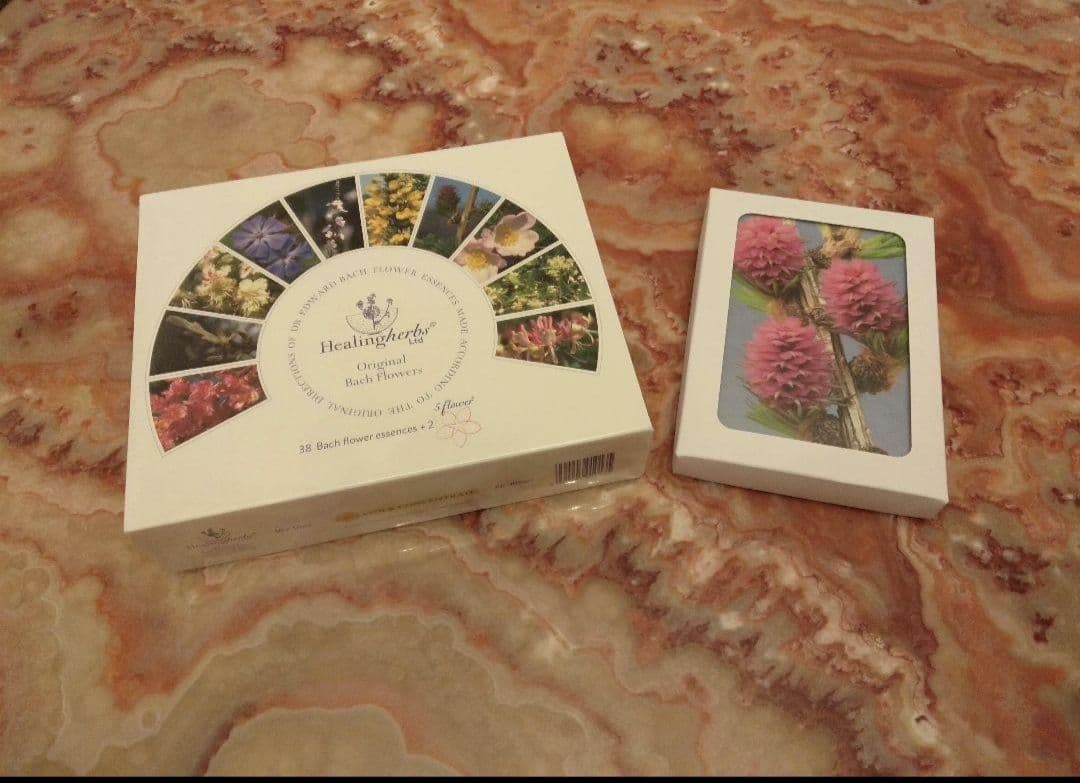 kazunoページ■52000+16700=68700ヒーリングハーブス社 Aoyama Harp | ハープセレクション・ショールーム・展示販売 | 銀座十字屋