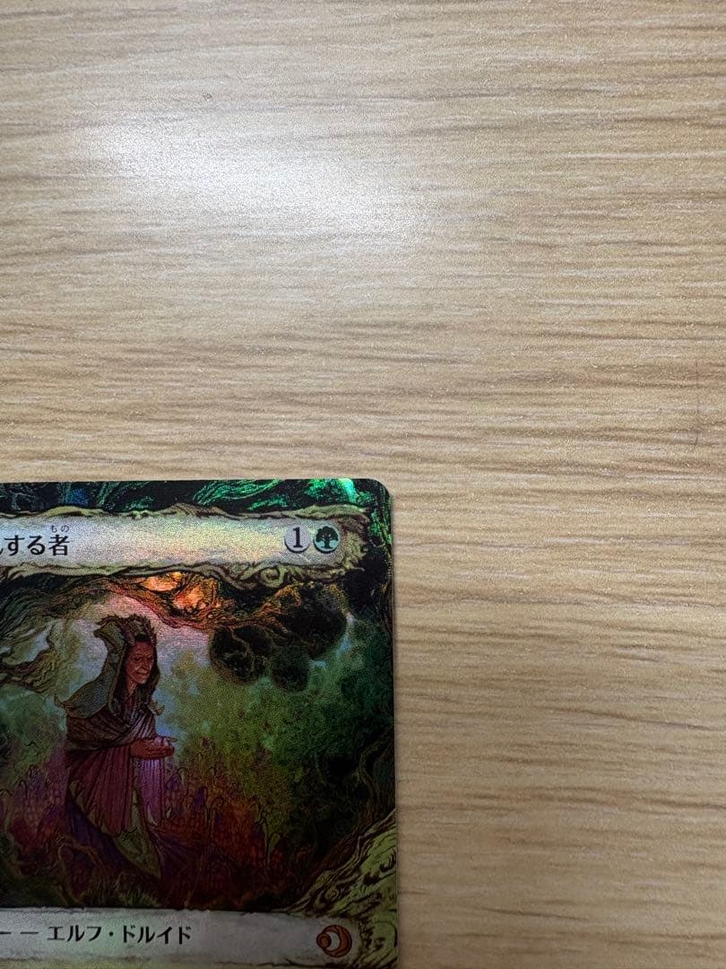 Foil】花を手入れするもの 日本語 ショーケース - メルカリ